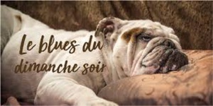 Le blues du dimanche soir, que faire ? Le blues du dimanche soir, que faire ?