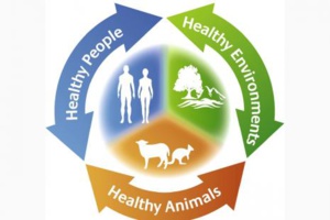 Comment adopter l’approche "One Health" au Maroc ? Comment adopter l’approche "One Health" au Maroc ?