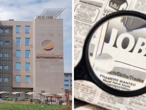 Que nous dit le compte satellite de l'emploi et à quoi sert-il ? Que nous dit le compte satellite de l'emploi et à quoi sert-il ?