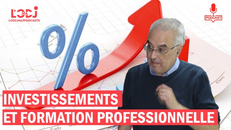 Les investissements directs étrangers et formation professionnelle Les investissements directs étrangers et formation professionnelle