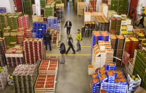 Protection du consommateur : l’apport du projet de loi modifiant et complétant la loi n°31-08 Protection du consommateur : l’apport du projet de loi modifiant et complétant la loi n°31-08