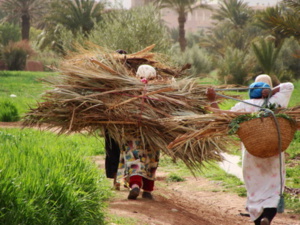 Femmes rurales : Enjeux et ambitions pour leur autonomisation économique