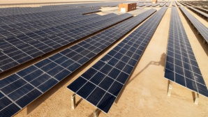 Couvrir le Sahara de panneaux solaires : une révolution énergétique ou un danger climatique ? Couvrir le Sahara de panneaux solaires : une révolution énergétique ou un danger climatique ?