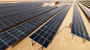 Couvrir le Sahara de panneaux solaires : une révolution énergétique ou un danger climatique ? 