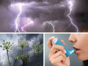 L'asthme d'orage existe bien ! L'asthme d'orage existe bien !