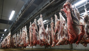 Aid Al Adha : découvrez les tarifs d'abattage et d'hébergement aux Abattoirs de Casablanca Aid Al Adha : découvrez les tarifs d'abattage et d'hébergement aux Abattoirs de Casablanca