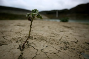 Photo d’illustration de la sécheresse dans le sud de l’Espagne, début mai.