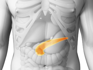 Le cancer du pancréas, la recherche continue ! Le cancer du pancréas, la recherche continue !