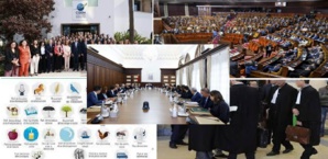 CGEM, partis, …l’égalité des chances, ou la malchance de ceux qui ne sont rien CGEM, partis, …l’égalité des chances, ou la malchance de ceux qui ne sont rien