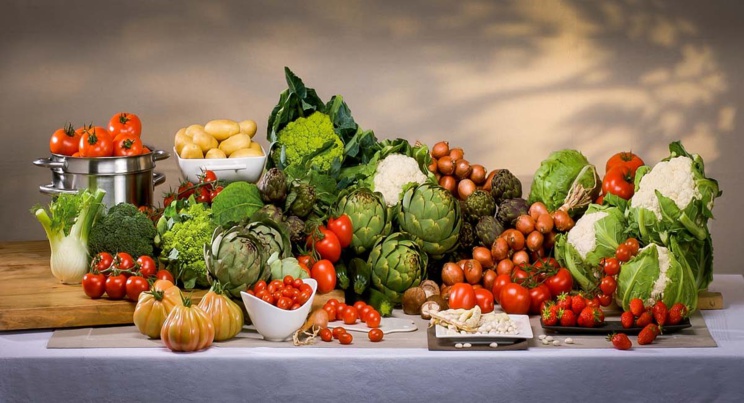 Le déclin de la Biodiversité et l'extinction des espèces végétales et marines , une réalité désormais irréversible ! Le déclin de la Biodiversité et l'extinction des espèces végétales et marines , une réalité désormais irréversible !