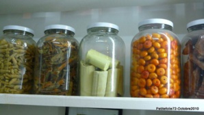 Des amis qui ne vous veulent pas que du bien.. Des amis qui ne vous veulent pas que du bien..