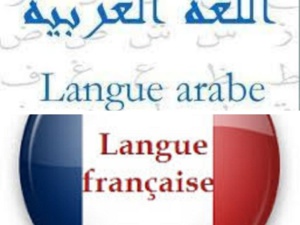 Le français banni dans les administrations, ainsi que les établissements publics et privés Le français banni dans les administrations, ainsi que les établissements publics et privés