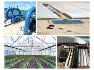 71 000 hectares de terres agricoles avec de l’eau de mer dessalée à l'étude 71 000 hectares de terres agricoles avec de l’eau de mer dessalée à l'étude