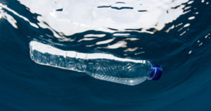 La 4e édition de #b7arblaplastic est lancée ! La 4e édition de #b7arblaplastic est lancée !