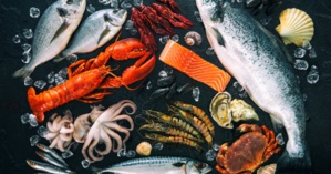 Nasser Bourita dévoile les 3 paramètres de renouvellement du protocole d’accord de pêche Maroc-UE Nasser Bourita dévoile les 3 paramètres de renouvellement du protocole d’accord de pêche Maroc-UE