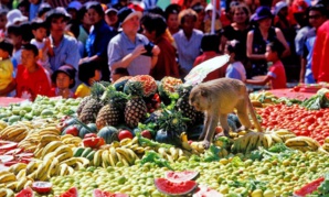 Des festivités hors normes : Voici les festivals les plus insolites et captivants du globe Des festivités hors normes : Voici les festivals les plus insolites et captivants du globe