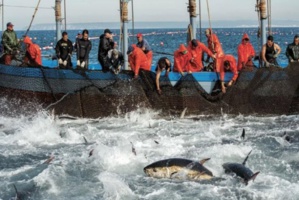 Accord de pêche Maroc-UE : D'autres partenariats existent Accord de pêche Maroc-UE : D'autres partenariats existent