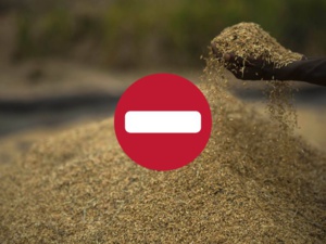 Alerte sur la disponibilité du riz indien Alerte sur la disponibilité du riz indien