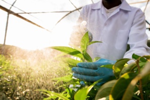 Attadamoune s’allie à la SIDI pour la réduction de la vulnérabilité climatique des petits exploitants Attadamoune s’allie à la SIDI pour la réduction de la vulnérabilité climatique des petits exploitants