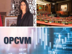 La Chambre des conseillers approuve le projet de loi sur les OPCC