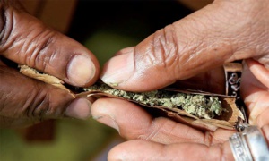 L'impact dévastateur de la drogue au Maroc : L'Afrique en tant que pivot central L'impact dévastateur de la drogue au Maroc : L'Afrique en tant que pivot central