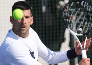 Classement ATP : pas de changement dans le top 20, Djokovic à l'affût