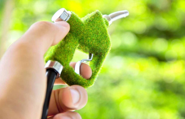 Carburant « neutre en CO2 » : Le dilemme qui fait trembler l'Europe ! Carburant « neutre en CO2 » : Le dilemme qui fait trembler l'Europe !