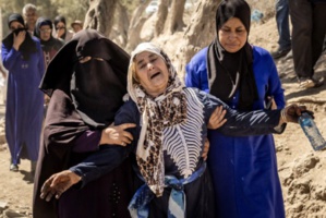 Gestion traumatique Gestion traumatique