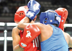 Tournoi de boxe qualificatif aux JO : les boxeurs marocains réalisent une excellente performanc Tournoi de boxe qualificatif aux JO : les boxeurs marocains réalisent une excellente performanc