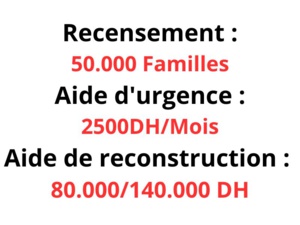 Recensement, aide d'urgence et aide financière directe de reconstruction Recensement, aide d'urgence et aide financière directe de reconstruction