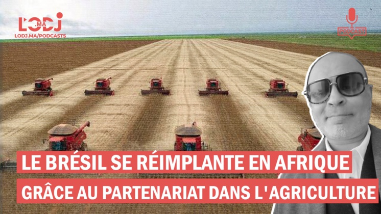 Le Brésil se réimplante en Afrique grâce au partenariat dans l'Agriculture Le Brésil se réimplante en Afrique grâce au partenariat dans l'Agriculture