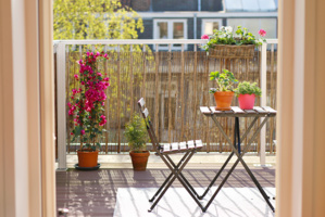 Bien choisir ses plantes pour un balcon verdoyant : Les erreurs à éviter