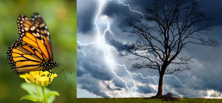 Le déluge et l'effet papillon.. Le déluge et l'effet papillon..