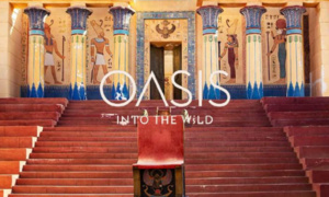 Le festival Oasis 2023 prend fin en apothéose Le festival Oasis 2023 prend fin en apothéose