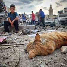 Que fait la communauté internationale !?