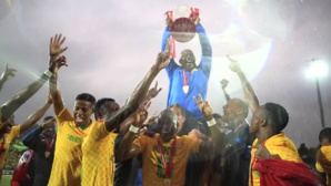 African Football League : Sundowns sacré au détriment du Wydad African Football League : Sundowns sacré au détriment du Wydad