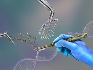 Autorisation du premier médicament utilisant Crispr-Cas9 Autorisation du premier médicament utilisant Crispr-Cas9