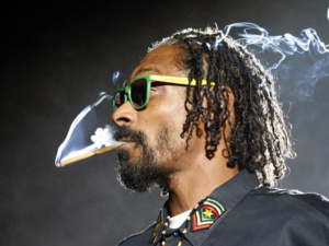 Snoop Dogg a-t-il réellement arrêter la consommation du cannabis ? Snoop Dogg a-t-il réellement arrêter la consommation du cannabis ?