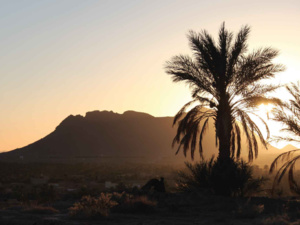 Figuig : Le 16ème festival des cultures des oasis, du 1er au 3 décembre Figuig : Le 16ème festival des cultures des oasis, du 1er au 3 décembre