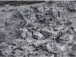 Palestine : Désir de paix ! Palestine : Désir de paix !