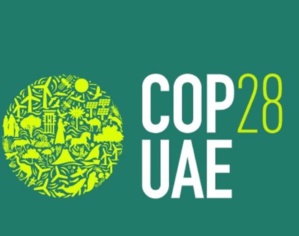 Dubaï mon amour… Dubaï mon amour…