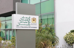 Ce que préconise le CESE face à l’essoufflement de la vie associative Ce que préconise le CESE face à l’essoufflement de la vie associative