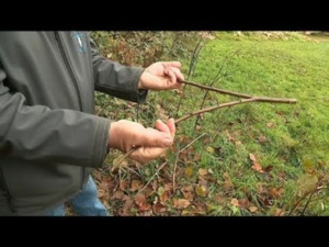 Sécheresse : Et si on mobilisait nos sourciers ! Sécheresse : Et si on mobilisait nos sourciers !