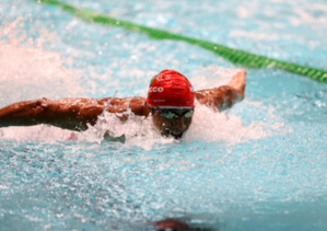 Natation : le Maroc au championnat arabe des sports aquatiques au Qatar Natation : le Maroc au championnat arabe des sports aquatiques au Qatar