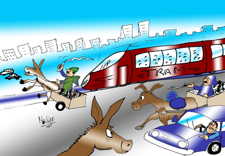 Réalisée par Mohammed Yassir Mouline