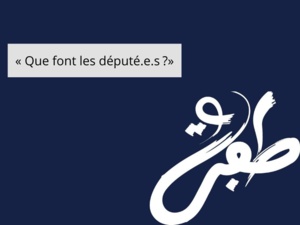 TAFRA : « Que font les député.e.s ?» TAFRA : « Que font les député.e.s ?»