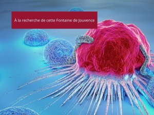 Le Vieillissement de l'Homme : Nouvelles Perspectives grâce à la Recherche sur les Cellules CAR T