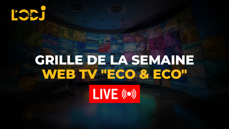 Grille de la semaine Web TV "Eco & Eco" de L'ODJ Média