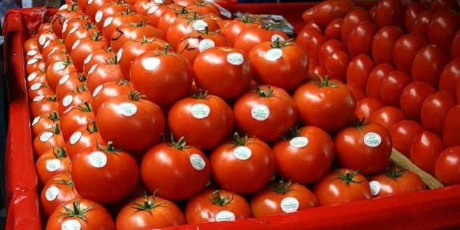 La France est de loin la première cliente du Maroc avec 51% de la production made in Morocco écoulée à l’étranger. Le Maroc fournit également 50% des besoins de l’Espagne en tomates  devenant le troisième exportateur de tomates de la planète.