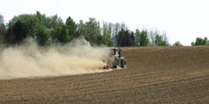 Campagne agricole : un sort suspendu au cumul pluviométrique Campagne agricole : un sort suspendu au cumul pluviométrique